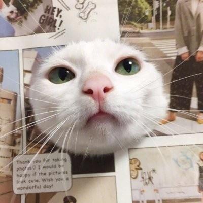 情侣头像不明显一张