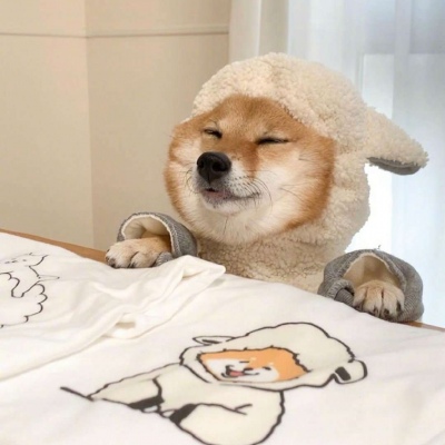 头像图片搞笑高清 2