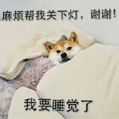 头像狗狗搞怪 3