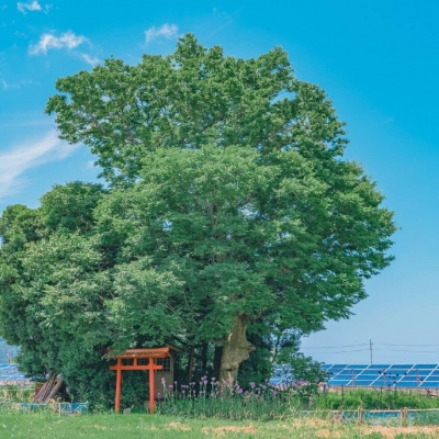 2023带来好运的微信头像风景 3