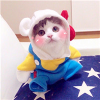 小猪佩奇头像图片 3