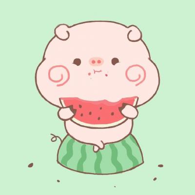 小猪微信头像图片大全可爱 10