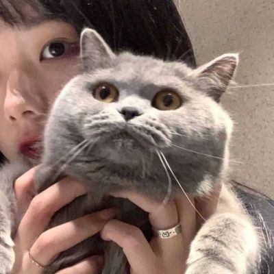 搞笑的头像沙雕爆笑 2