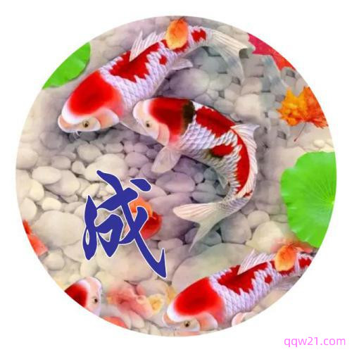 2023年微信头像带来好运的图像 3