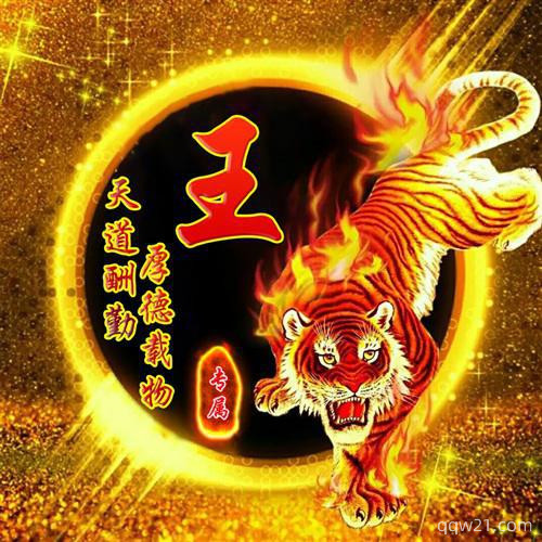 最新漂亮姓氏头像蔡 5