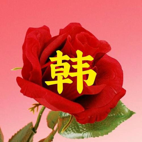 女人微信头像花朵图片 2