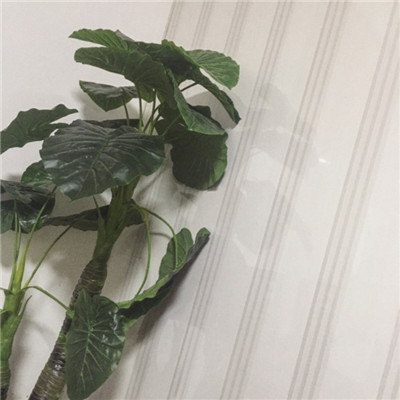 属鸡微信头像吉星植物 4