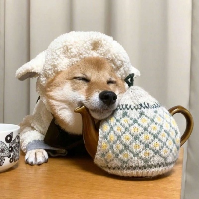 狗头头像柴犬