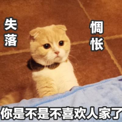 汤姆猫头像带文字 9