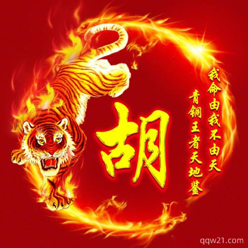 怎么自己做姓氏头像 9