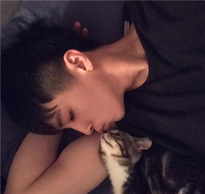 猫咪头像男生用 3