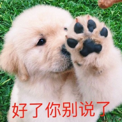 头像怎么增加狗头框 5