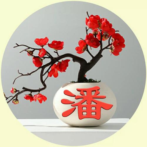 百家姓氏微信头像图片熊中成 2