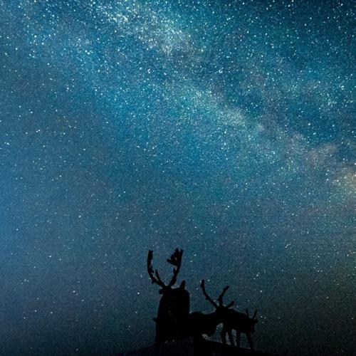 好看的头像图片 唯美 星空