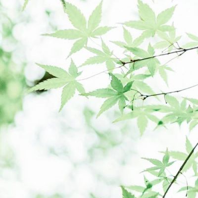 风景头像意境图片 1