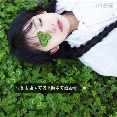 2023微信头像文字 4