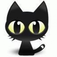 容易让人误会的头像黑猫 3