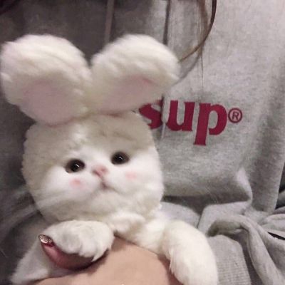 怎么自制情侣头像 1