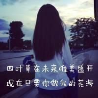 花海头像图片大全唯美
