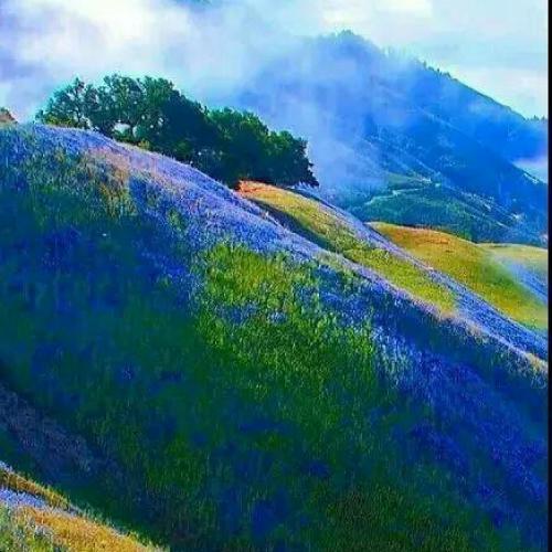 用风景做头像 1