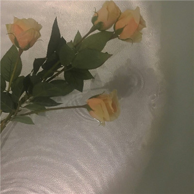 玫瑰花头像图片 2