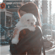 女生头像ins高级质感狗狗 5