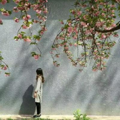 阴阳师好看免费头像框 4