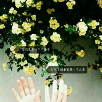开朗微信头像图片 1