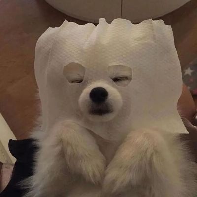 免费的情侣头像 5