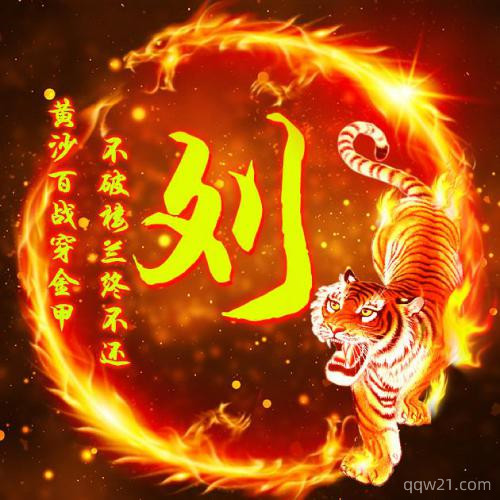 2023姓氏头像申字 1