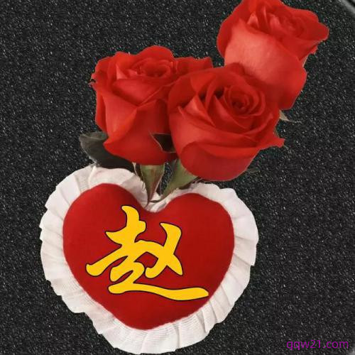 2023年玫瑰花头像图片 6