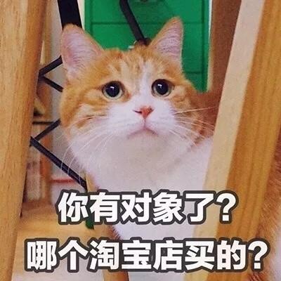 汤姆猫头像带文字 7