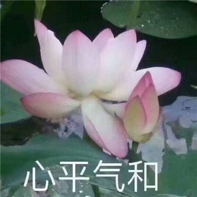 一家四口手机微信头像图片库 4