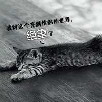 卡通动漫头像 3