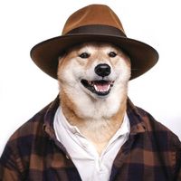 有一个柴犬头像的网站 2