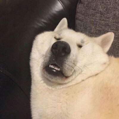 笑死人的头像图片 微信 6