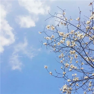 手机微信头像图片大全唯美高清 1