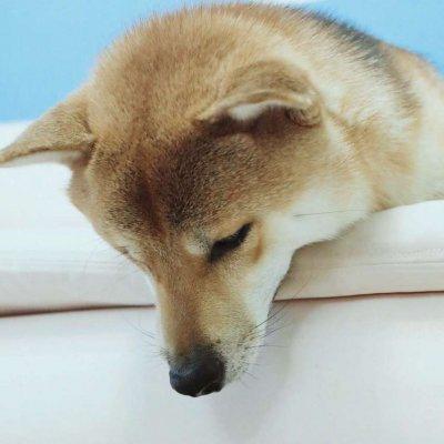 2023年情侣头像两个人 8