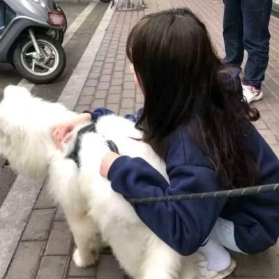 好看的网图头像女高冷 3
