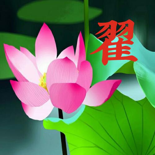 女人微信头像花朵图片