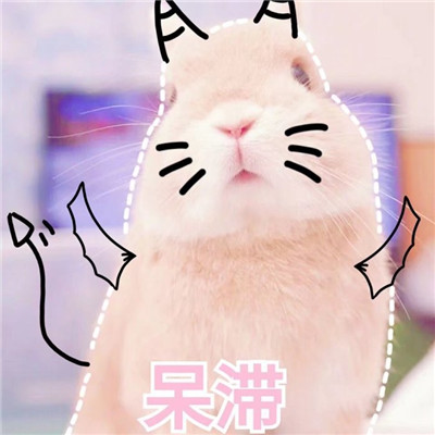 西游版兔子头像 10
