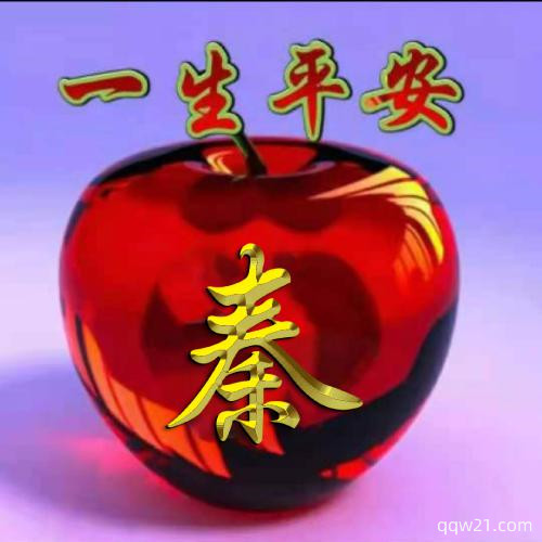 姓氏头像素材赵 6