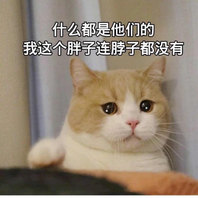 2023年微信姓名头像 1