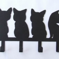 容易让人误会的头像黑猫 7