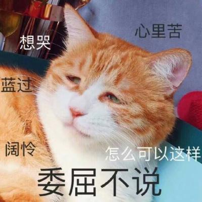 动物头像大全网 4