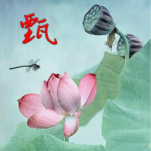 新年头像2023最火爆 3