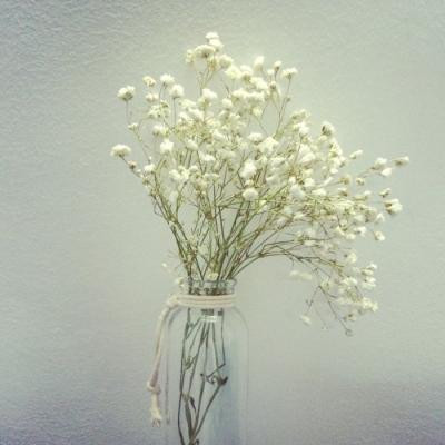 属虎2023年花草好运头像 8