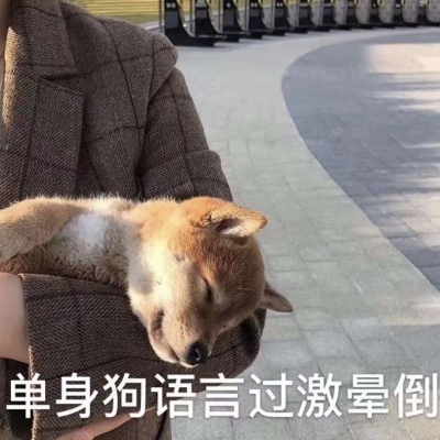 搞笑头像搞笑图片 5