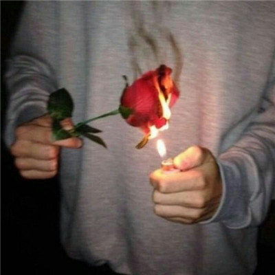 玫瑰花头像图片 5