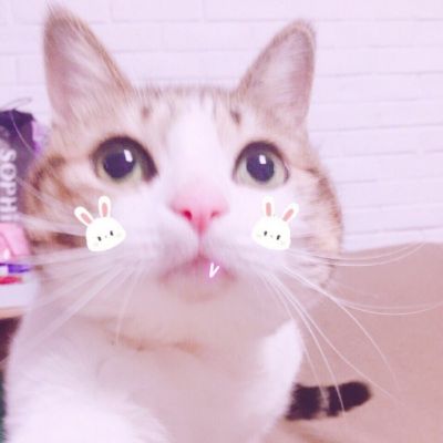 邱字微信头像图片 5